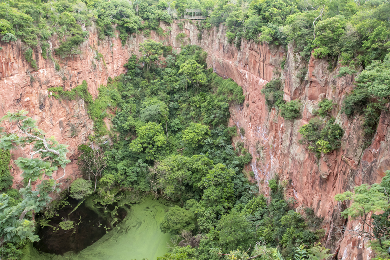 Bonito - Photo by Hudson Garcia (77)